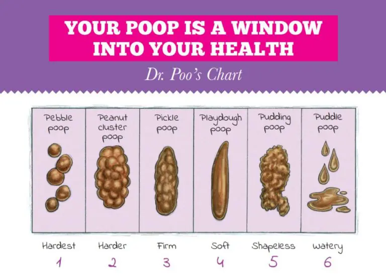 Dr Poo S Family Friendly Poop Chart   Dr. Poo Chart 768x551 