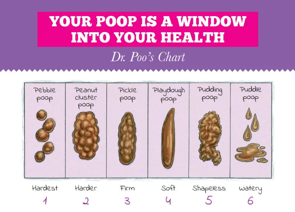 Dr. Poo chart