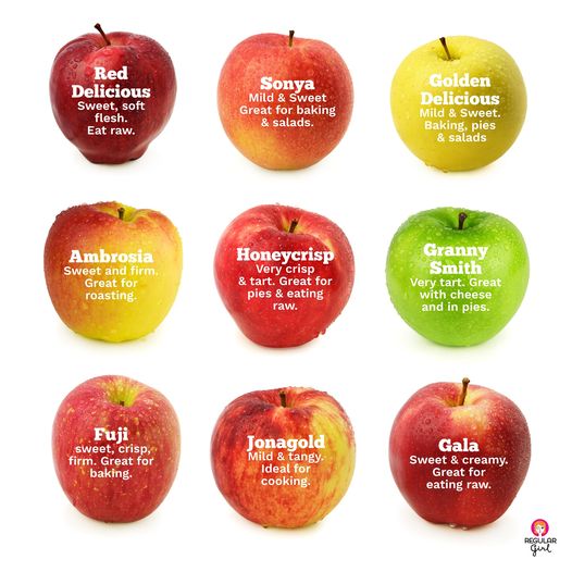 Your Guide to Apple Season!